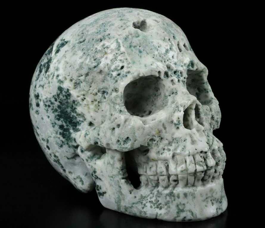 Moss Agate Skull 5430